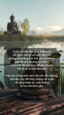 Nam Mô A Di Đà Phật #phatphap #phatphapvobien #phatphapnhiemmau #buddha #tuchanhocphat 