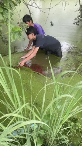 บ่หล่อแต่่หากินหมาน#บ่าวไทบ้าน #บุรีรัมย์ #ไข่ผํา #ไข่ผ๋ํา