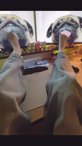 @HeidiStar Ne znam#fyp #xyzbca