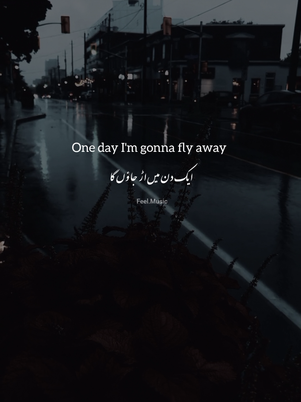 One day I'm gonna fly away #feelmusic41 #english #lyrics #unitedkingdom #songs 