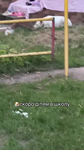 Вона шаре в єтой тємє#Бєлка #гумор