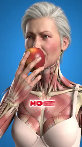 Which fruit contains the most nutrients? #fruit #nutrients #papaya #apple #banana 