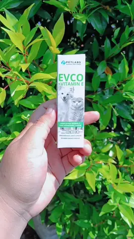 konsultasikan dengan dokter hewan secara gratis yang di sediakan petlabs ya guys, agar gak sembarangan dan sesuai takaran yang di butuhkan anabul kalian #petlabs #petlabsprobiotics #evco #catlovers #sembelit 