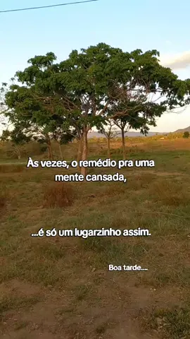 Isso aqui é uma terapia!... #sertanejo #raizsertaneja #reflexao #roça #natureza #modão #frasesmotivadoras 