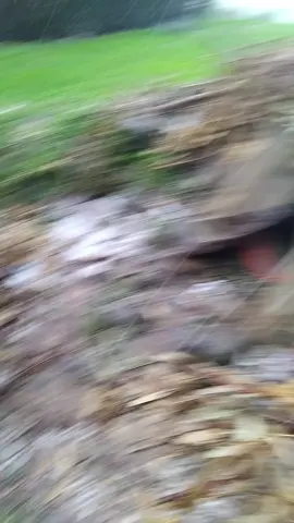 #ኢትዮጵያ_ለዘለዓለም_ትኑር🇪🇹🇪🇹🇪🇹#vairal 