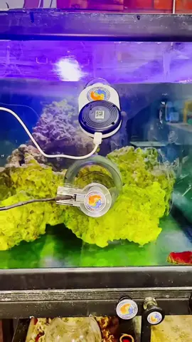 Tankmatez RC Fish Trap Compilation #tankmatezrcfishtrap