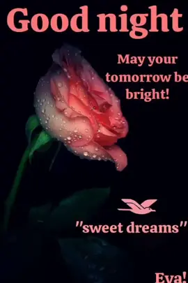 #ssemandamartin #goodmorning #goodnight #goodafternoon #fyp #foryoupage #goodevening 
