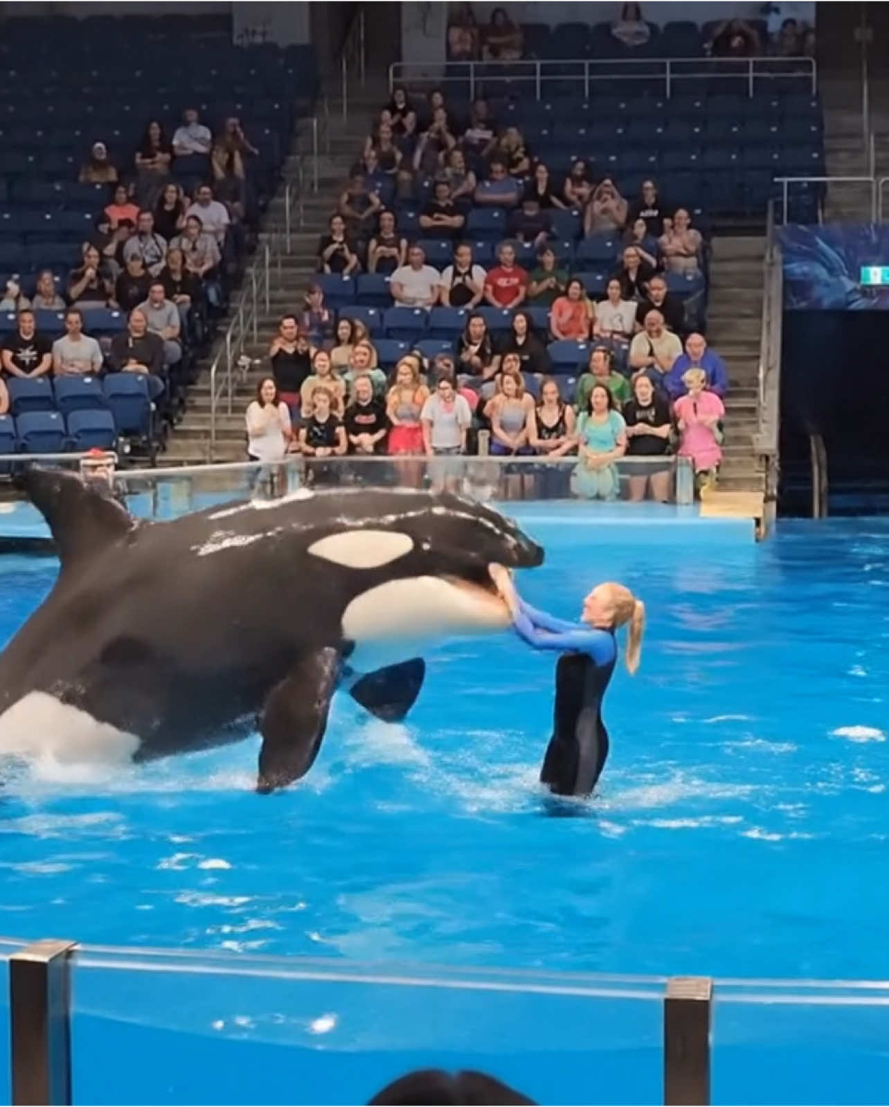 Jessica  #jessica #trends #delfin #orka 