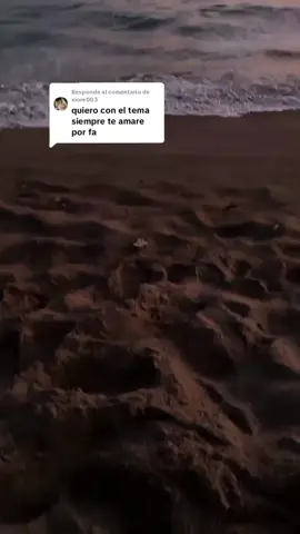 Respuesta a @xiore003 complaciendo con mucho cariño  siempre te amare #lospropiosdevenezuela #raspacanilla #tropicalbailables #paratiiiiiiiiiiiiiiiiiiiiiiiiiiiiiii #raspacanillasbarquisimeto 
