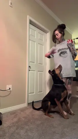 We haven’t played with heel positions & random obedience in awhile. 