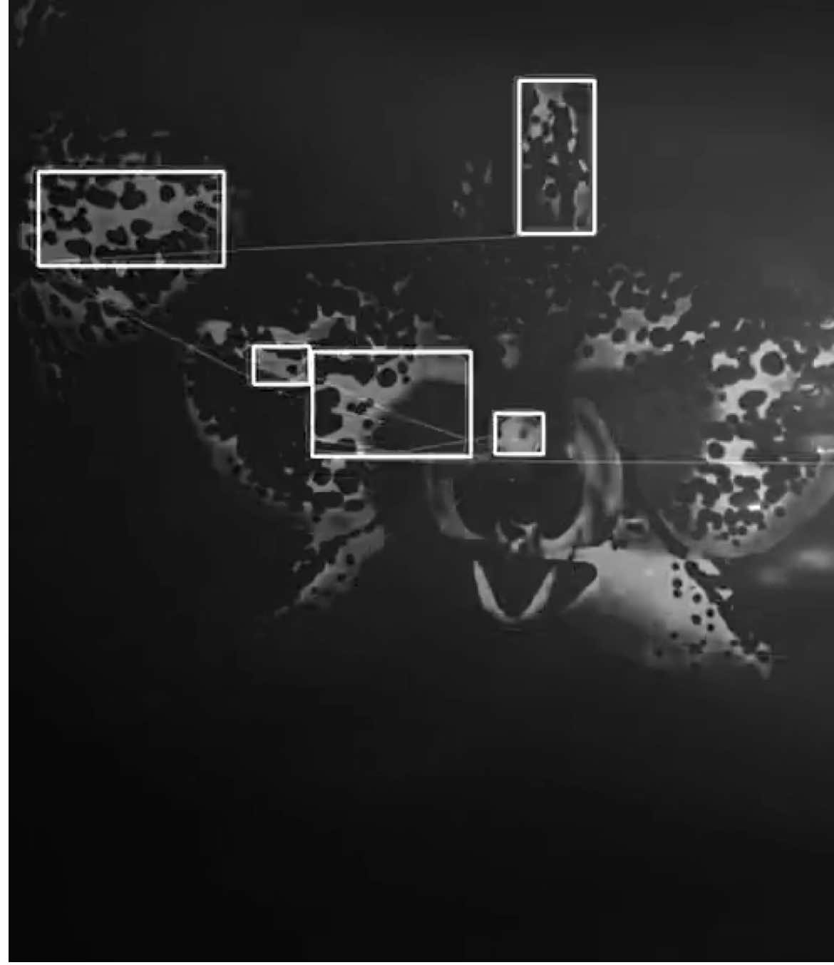 我思故我在 first and probably last blobtrack edit i ever make #blobtracking 