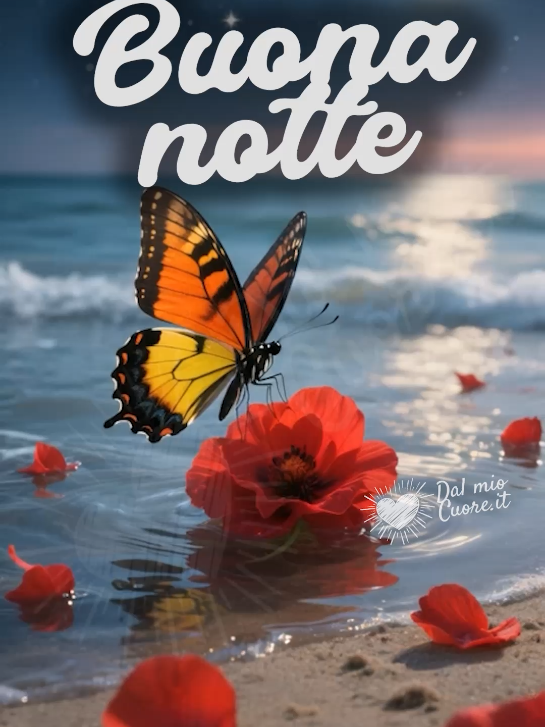 #dalmiocuore❤ #buonanotte #goodnight #sea #estate #mare #summer  #farfalla #butterfly