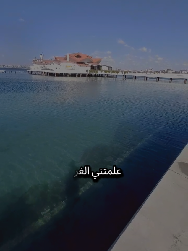 علمتني الغربة انه ما في شيء دايم للأبد لا حب لا صداقة ولا شغل كل شيء مؤقته إلى نهاية #تركيا #اسطنبول #الغربة #مغترب #شعروقصايد 