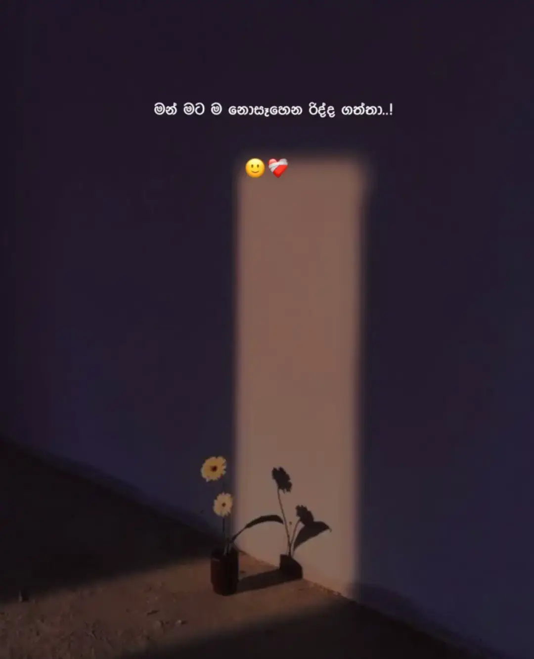 🥀❤️‍🩹! #fyppppppppppppppppppppppp #fyyyyyyyyyyyyyyyy #foryou #status 