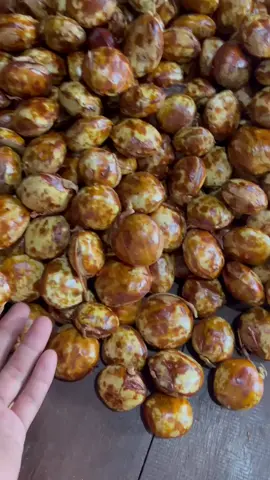 JENGKOL TUA. #SUMATRA  #JENGKOL 