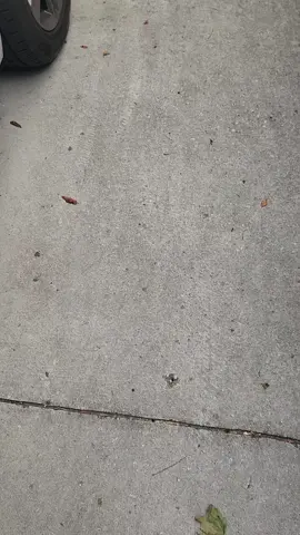 my welcome home every day