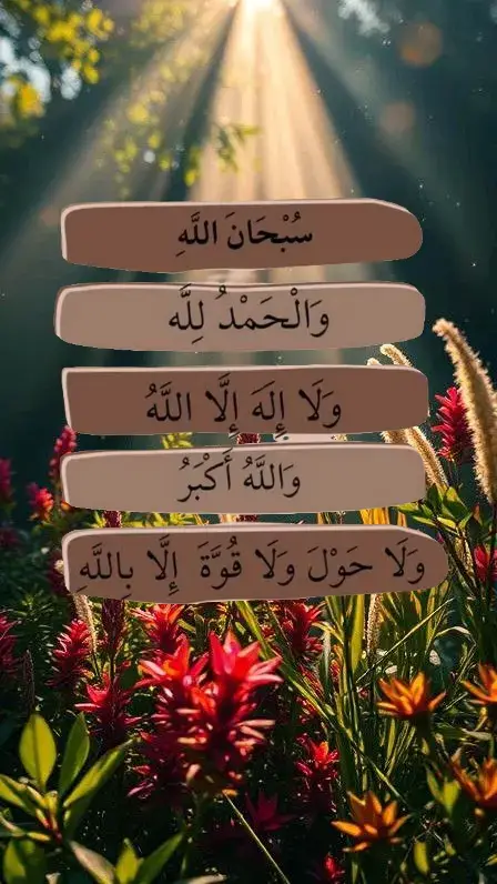 #fyp #fypage #اكسبلورexplore 