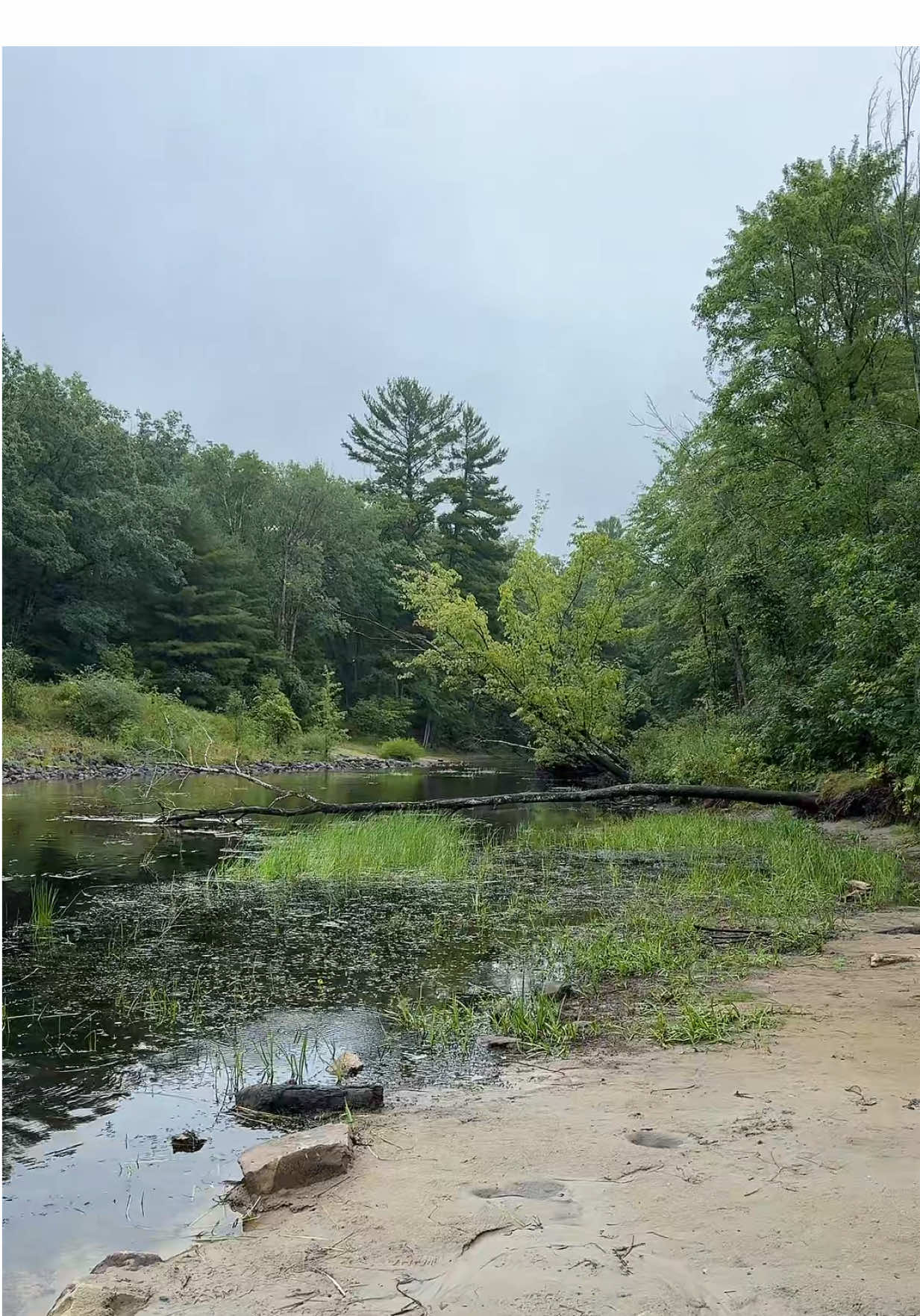 #MuskegonRiver  #ReedsburgDam #KaitInMich #PureMichigan #fyp 