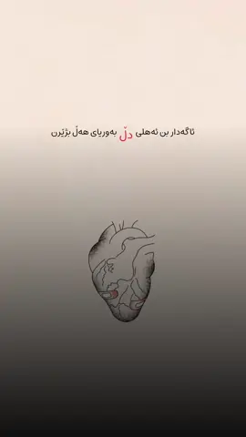 هۆگر بوونیش سەیرە مرۆڤ کەم ئەندام ئەکات لە نرخی مرۆڤ کەم ئەکاتەوە ، بەڕای من هۆگر بوون لە تەرازوویەکی پڕ فێڵ ئەچێت ، چونکە کێشی شتەکان بەتەواوی نادات ، بڕێک زیاتر لەکێشی خۆیان ئەنووسێ ، هۆگر بوونیش ئاوایە مرۆڤێک پڕ هەڵەیە لەگەڵتا بەڵام هۆگریت هەڵەکانی وون ئەکات و بەقورستر لەسەر میزانی خۆشەویستی ئەیکێشێ…