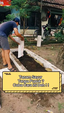 Jangan buru-buru buang kayu bekas 🪵 Kalau ditumpuk di tanah, bisa jadi sumber nutrisi buat tanaman sampai bertahun-tahun. Pernah coba cara ini belum ? #garden  #hugelkultur  #kebunsayur  #minigarden  #raisebedgardening 