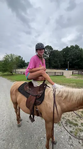 drafts while i’m at school #horse #horsesontiktok #equestrian #foryou #fyp 