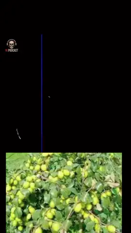 ##viral 