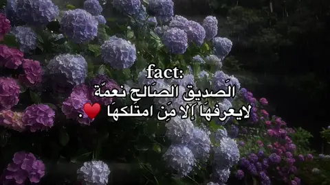 قناتي تلي بالبايو #foryou #explore #tiktok #viral #fyp 