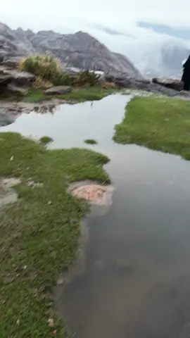 #تنومه_والقلب_لاتلومه_إكسبلور_تصويري 