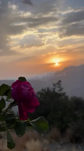 #ياسر_الحزيمي الإنسان لو رأى الأقدار لاختار القدر الذي اختاره الله له #اكسبلور #اكسبلورexplore 