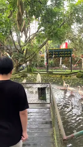 #saudiarabia🇸🇦 #indonesia🇮🇩 #fyppppppppppppppppppppppp #explore #باندونغ 