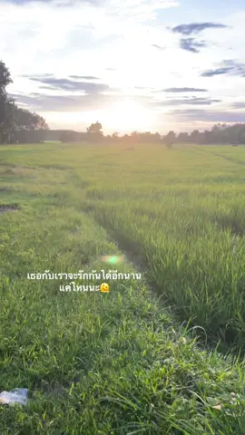 #เธรดเสี่ยใบร่ #เสี่ยใบร่ #ฟีดดดシ #ความรัก #สตอรี้ม้งเศร้า✨🦋 