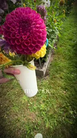 It’s about balance 🤌🏻🤌🏻#CapCut 