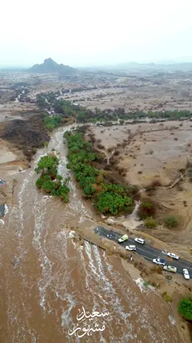 سيول  هادرة مركز ريم جنوب محافظة رجال المع اودية  اودية الحلفاء _ الضمو _ جندلة _ ريم 1447/2/25 محبكم سعيد مشهور#أبها #عسير #اكسبلور 