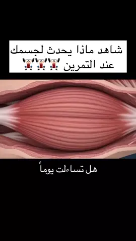 عند التمرين، تمر العضلات بعدة مراحل: تبدأ بانقباض العضلات لتوليد الطاقة، ثم تستهلك الطاقة وتتعب، وتليها مرحلة التعافي وإعادة البناء. قد يحدث ألم عضلي نتيجة لتمزق الألياف العضلية الدقيقة خلال التمرين، ويقوم الجسم بإصلاح هذا التلف، مما يؤدي إلى زيادة حجم العضلات وقوتها مع مرور الوقت.  #الهيكل_العضلي_البشري #العضام_المفاصل #الهيكل_العظمي 