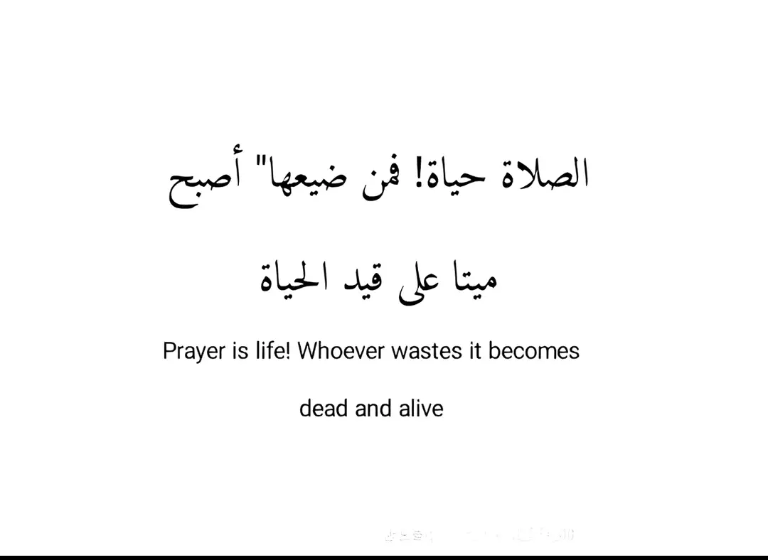 #طريق_الحسين_طريق_الله  #اقوال_وحكم_الامام_علي_عليه_السلام  #قصص_اهل_البيت_؏📚  #علوم_اهل_البيت  #فضائل_الامام_علي_عليه_السلام 
