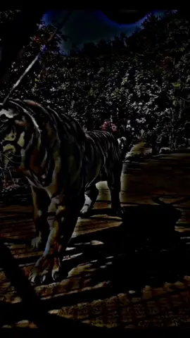 #تصميم_فلاتر #عاحسب_طلبك #اليمن_فلسطين🇾🇪🇰🇼🇾🇪 #حركهـ_الاكسبلورر_فولو_كومنت🖤 #يمانيون_🇾🇪لنا_في_قمه_الفخر_رايات RAREEHREE  RA RA 잘잘잘잘잘잘잘잘잘잘잘잘잘잘잘잘잘잘永永永永永永永永永永永永永永永永永줄줄줄줄줄줄줄줄줄줄줄줄줄좋은 날 좋은 날 좋은 날 좋은 날:RAREEHREE  RA RA 잘잘잘잘잘잘잘잘잘잘잘잘잘잘잘잘잘잘永永永永永永永永永永永永永永永永永줄줄줄줄줄줄줄줄줄줄줄줄줄좋은RAREEHREE  RA RA 잘잘잘잘잘잘잘잘잘잘잘잘잘잘잘잘잘잘永永永永永永永永永永永永永永永永永줄줄줄줄줄줄줄줄줄줄줄줄줄좋은 날 좋은 날 좋은 날 좋은 날:RAREEHREE  RA RA 잘잘잘잘잘잘잘잘잘잘잘잘잘잘잘잘잘잘永永永永永永永永永永永永永永永永永줄줄줄줄줄줄줄줄줄줄줄줄줄좋은RAREEHREE  RA RA 잘잘잘잘잘잘잘잘잘잘잘잘잘잘잘잘잘잘永永永永永永永永永永永永永永永永永줄줄줄줄줄줄줄줄줄줄줄줄줄좋은 날 좋은 날 좋은 날 좋은 날:RAREEHREE  RA RA 잘잘잘잘잘잘잘잘잘잘잘잘잘잘잘잘잘잘永永永永永永永永永永永永永永永永永줄줄줄줄줄줄줄줄줄줄줄줄줄좋은RAREEHREE  RA RA 잘잘잘잘잘잘잘잘잘잘잘잘잘잘잘잘잘잘永永永永永永永永永永永永永永永永永줄줄줄줄줄줄줄줄줄줄줄줄줄좋은 날 좋은 날 좋은 날 좋은 날:RAREEHREE  RA RA 잘잘잘잘잘잘잘잘잘잘잘잘잘잘잘잘잘잘永永永永永永永永永永永永永永永永永줄줄줄줄줄줄줄줄줄줄줄줄줄좋은RAREEHREE  RA RA 잘잘잘잘잘잘잘잘잘잘잘잘잘잘잘잘잘잘永永永永永永永永永永永永永永永永永줄줄줄줄줄줄줄줄줄줄줄줄줄좋은 날 좋은 날 좋은 날 좋은 날:RAREEHREE  RA RA 잘잘잘잘잘잘잘잘잘잘잘잘잘잘잘잘잘잘永永永永永永永永永永永永永永永永永줄줄줄줄줄줄줄줄줄줄줄줄줄좋은RAREEHREE  RA RA 잘잘잘잘잘잘잘잘잘잘잘잘잘잘잘잘잘잘永永永永永永永永永永永永永永永永永줄줄줄줄줄줄줄줄줄줄줄줄줄좋은 날 좋은 날 좋은 날 좋은 날:RAREEHREE  RA RA 잘잘잘잘잘잘잘잘잘잘잘잘잘잘잘잘잘잘永永永永永永永永永永永永永永永永永줄줄줄줄줄줄줄줄줄줄줄줄줄좋은RAREEHREE  RA RA 잘잘잘잘잘잘잘잘잘잘잘잘잘잘잘잘잘잘永永永永永永永永永永永永永永永永永줄줄줄줄줄줄줄줄줄줄줄줄줄좋은 날 좋은 날 좋은 날 좋은 날:RAREEHREE  RA RA 잘잘잘잘잘잘잘잘잘잘잘잘잘잘잘잘잘잘永永永永永永永永永永永永永永永永永줄줄줄줄줄줄줄줄줄줄줄줄줄좋은RAREEHREE  RA RA 잘잘잘잘잘잘잘잘잘잘잘잘잘잘잘잘잘잘永永永永永永永永永永永永永永永永永줄줄줄줄줄줄줄줄줄줄줄줄줄좋은 날 좋은 날 좋은 날 좋은 날:RAREEHREE  RA RA 잘잘잘잘잘잘잘잘잘잘잘잘잘잘잘잘잘잘永永永永永永永永永永永永永永永永永줄줄줄줄줄줄줄줄줄줄줄줄줄좋은RAREEHREE  RA RA 잘잘잘잘잘잘잘잘잘잘잘잘잘잘잘잘잘잘永永永永永永永永永永永永永永永永永줄줄줄줄줄줄줄줄줄줄줄줄줄좋은 날 좋은 날 좋은 날 좋은 날:RAREEHREE  RA RA 잘잘잘잘잘잘잘잘잘잘잘잘잘잘잘잘잘잘永永永永永永永永永永永永永永永永永줄줄줄줄줄줄줄줄줄줄줄줄줄좋은RAREEHREE  RA RA 잘잘잘잘잘잘잘잘잘잘잘잘잘잘잘잘잘잘永永永永永永永永永永永永永永永永永줄줄줄줄줄줄줄줄줄줄줄줄줄좋은 날 좋은 날 좋은 날 좋은 날:RAREEHREE  RA RA 잘잘잘잘잘잘잘잘잘잘잘잘잘잘잘잘잘잘永永永永永永永永永永永永永永永永永줄줄줄줄줄줄줄줄줄줄줄줄줄좋은RAREEHREE  RA RA 잘잘잘잘잘잘잘잘잘잘잘잘잘잘잘잘잘잘永永永永永永永永永永永永永永永永永줄줄줄줄줄줄줄줄줄줄줄줄줄좋은 날 좋은 날 좋은 날 좋은 날:RAREEHREE  RA RA 잘잘잘잘잘잘잘잘잘잘잘잘잘잘잘잘잘잘永永永永永永永永永永永永永永永永永줄줄줄줄줄줄줄줄줄줄줄줄줄좋은RAREEHREE  RA RA 잘잘잘잘잘잘잘잘잘잘잘잘잘잘잘잘잘잘永永永永永永永永永永永永永永永永永줄줄줄줄줄줄줄줄줄줄줄줄줄좋은 날 좋은 날 좋은 날 좋은 날:RAREEHREE  RA RA 잘잘잘잘잘잘잘잘잘잘잘잘잘잘잘잘잘잘永永永永永永永永永永永永永永永永永줄줄줄줄줄줄줄줄줄줄줄줄줄좋은RAREEHREE  RA RA 잘잘잘잘잘잘잘잘잘잘잘잘잘잘잘잘잘잘永永永永永永永永永永永永永永永永永줄줄줄줄줄줄줄줄줄줄줄줄줄좋은 날 좋은 날 좋은 날 좋은 날:RAREEHREE  RA RA 잘잘잘잘잘잘잘잘잘잘잘잘잘잘잘잘잘잘永永永永永永永永永永永永永永永永永줄줄줄줄줄줄줄줄줄줄줄줄줄좋은RAREEHREE  RA RA 잘잘잘잘잘잘잘잘잘잘잘잘잘잘잘잘잘잘永永永永永永永永永永永永永永永永永줄줄줄줄줄줄줄줄줄줄줄줄줄좋은 날 좋은 날 좋은 날 좋은 날:RAREEHREE  RA RA 잘잘잘잘잘잘잘잘잘잘잘잘잘잘잘잘잘잘永永永永永永永永永永永永永永永永永줄줄줄줄줄줄줄줄줄줄줄줄줄좋은RAREEHREE  RA RA 잘잘잘잘잘잘잘잘잘잘잘잘잘잘잘잘잘잘永永永永永永永永永永永永永永永永永줄줄줄줄줄줄줄줄줄줄줄줄줄좋은 날 좋은 날 좋은 날 좋은 날:RAREEHREE  RA RA 잘잘잘잘잘잘잘잘잘잘잘잘잘잘잘잘잘잘永永永永永永永永永永永永永永永永永줄줄줄줄줄줄줄줄줄줄줄줄줄좋은RAREEHREE  RA RA 잘잘잘잘잘잘잘잘잘잘잘잘잘잘잘잘잘잘永永永永永永永永永永永永永永永永永줄줄줄줄줄줄줄줄줄줄줄줄줄좋은 날 좋은 날 좋은 날 좋은 날:RAREEHREE  RA RA 잘잘잘잘잘잘잘잘잘잘잘잘잘잘잘잘잘잘永永永永永永永永永永永永永永永永永줄줄줄줄줄줄줄줄줄줄줄줄줄좋은RAREEHREE  RA RA 잘잘잘잘잘잘잘잘잘잘잘잘잘잘잘잘잘잘永永永永永永永永永永永永永永永永永줄줄줄줄줄줄줄줄줄줄줄줄줄좋은 날 좋은 날 좋은 날 좋은 날:RAREEHREE  RA RA 잘잘잘잘잘잘잘잘잘잘잘잘잘잘잘잘잘잘永永永永永永永永永永永永永永永永永줄줄줄줄줄줄줄줄줄줄줄줄줄좋은RAREEHREE  RA RA 잘잘잘잘잘잘잘잘잘잘잘잘잘잘잘잘잘잘永永永永永永永永永永永永永永永永永줄줄줄줄줄줄줄줄줄줄줄줄줄좋은 날 좋은 날 좋은 날 좋은 날:RAREEHREE  RA RA 잘잘잘잘잘잘잘잘잘잘잘잘잘잘잘잘잘잘永永永永永永永永永永永永永永永永永줄줄줄줄줄줄줄줄줄줄줄줄줄좋은RAREEHREE  RA RA 잘잘잘잘잘잘잘잘잘잘잘잘잘잘잘잘잘잘永永永永永永永永永永永永永永永永永줄줄줄줄줄줄줄줄줄줄줄줄줄좋은 날 좋은 날 좋은 날 좋은 날:RAREEHREE  RA RA 잘잘잘잘잘잘잘잘잘잘잘잘잘잘잘잘잘잘永永永永永永永永永永永永永永永永永줄줄줄줄줄줄줄줄줄줄줄줄줄좋은RAREEHREE  RA RA 잘잘잘잘잘잘잘잘잘잘잘잘잘잘잘잘잘잘永永永永永永永永永永永永永永永永永줄줄줄줄줄줄줄줄줄줄줄줄줄좋은 날 좋은 날 좋은 날 좋은 날:RAREEHREE  RA RA 잘잘잘잘잘잘잘잘잘잘잘잘잘잘잘잘잘잘永永永永永永永永永永永永永永永永永줄줄줄줄줄줄줄줄줄줄줄줄줄좋은RAREEHREE  RA RA 잘잘잘잘잘잘잘잘잘잘잘잘잘잘잘잘잘잘永永永永永永永永永永永永永永永永永줄줄줄줄줄줄줄줄줄줄줄줄줄좋은 날 좋은 날 좋은 날 좋은 날:RAREEHREE  RA RA 잘잘잘잘잘잘잘잘잘잘잘잘잘잘잘잘잘잘永永永永永永永永永永永永永永永永永줄줄줄줄줄줄줄줄줄줄줄줄줄좋은RAREEHREE  RA RA 잘잘잘잘잘잘잘잘잘잘잘잘잘잘잘잘잘잘永永永永永永永永永永永永永永永永永줄줄줄줄줄줄줄줄줄줄줄줄줄좋은 날 좋은 날 좋은 날 좋은 날:RAREEHREE  RA RA 잘잘잘잘잘잘잘잘잘잘잘잘잘잘잘잘잘잘永永永永永永永永永永永永永永永永永줄줄줄줄줄줄줄줄줄줄줄줄줄좋은RAREEHREE  RA RA 잘잘잘잘잘잘잘잘잘잘잘잘잘잘잘잘잘잘永永永永永永永永永永永永永永永永永줄줄줄줄줄줄줄줄줄줄줄줄줄좋은 날 좋은 날 좋은 날 좋은 날:RAR