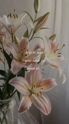 🌺 | #fyp #foryoupage #viral #hijabi #hijab #hijabitiktok #muslimah #muslimtok #xyzbca #flowers #bouquet #lillies #girlssupportgirls 
