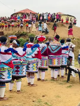 Ingqibamasondo❤️ #ingqibamasondo #umbondo #youngmakoti #mkathwalofu #zunguntombi 