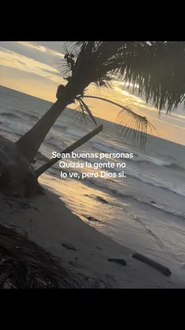 #fyp #viral #tiktok #fraces #creatorsearchinsights 