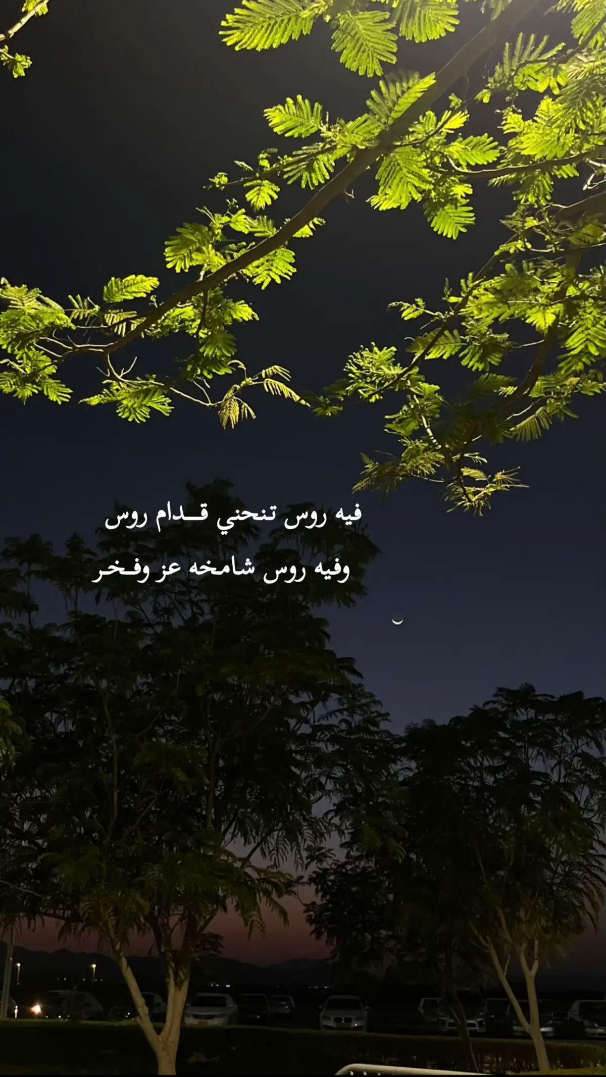 #الاحساء_الهفوف_الشرقيه 