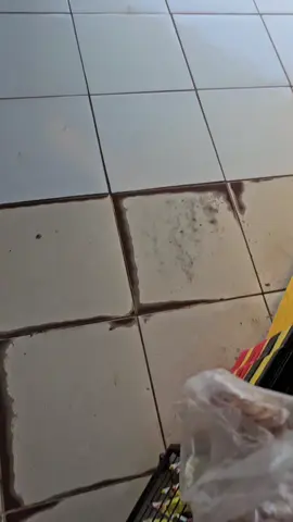 Esse Levou um susto grande☕️☕️🤣🤣