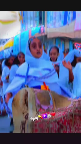 #creatorsearchinsights #ኦርቶዶክስ⛪ተዋህዶ⛪ለዘለዓለም☦️🙏ትኑር🙏 