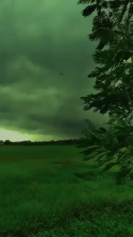#tiktok #lyricsvideo #foryoupage #ওমান_প্রবাসী #ওমান 