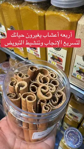 كف مريم والشمر والقرفة والمرامية أربعه أعشاب تساعد على الحمل وتنشيط المبايض بإذن الله #اعشاب_طبيعيه #عناية #كيف_الشموخ_عنيزه #عنيزه_القصيم #foryoupage 