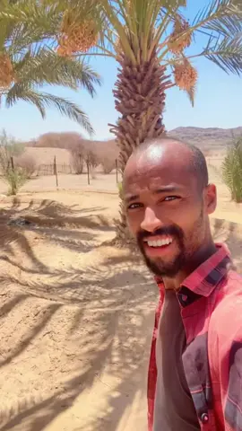 #creatorsearchinsights #ethopiantiktok🇪🇹🇪🇹🇪🇹 #ormotiktok❤💚❤ #fyppppppppppppppppppppppp #viralvideo #fyppppppppppppppppppppppp @abbaa chaasaa @Aslii Oromia❤️🌳❤️ @Abdi Getachew Abebe 