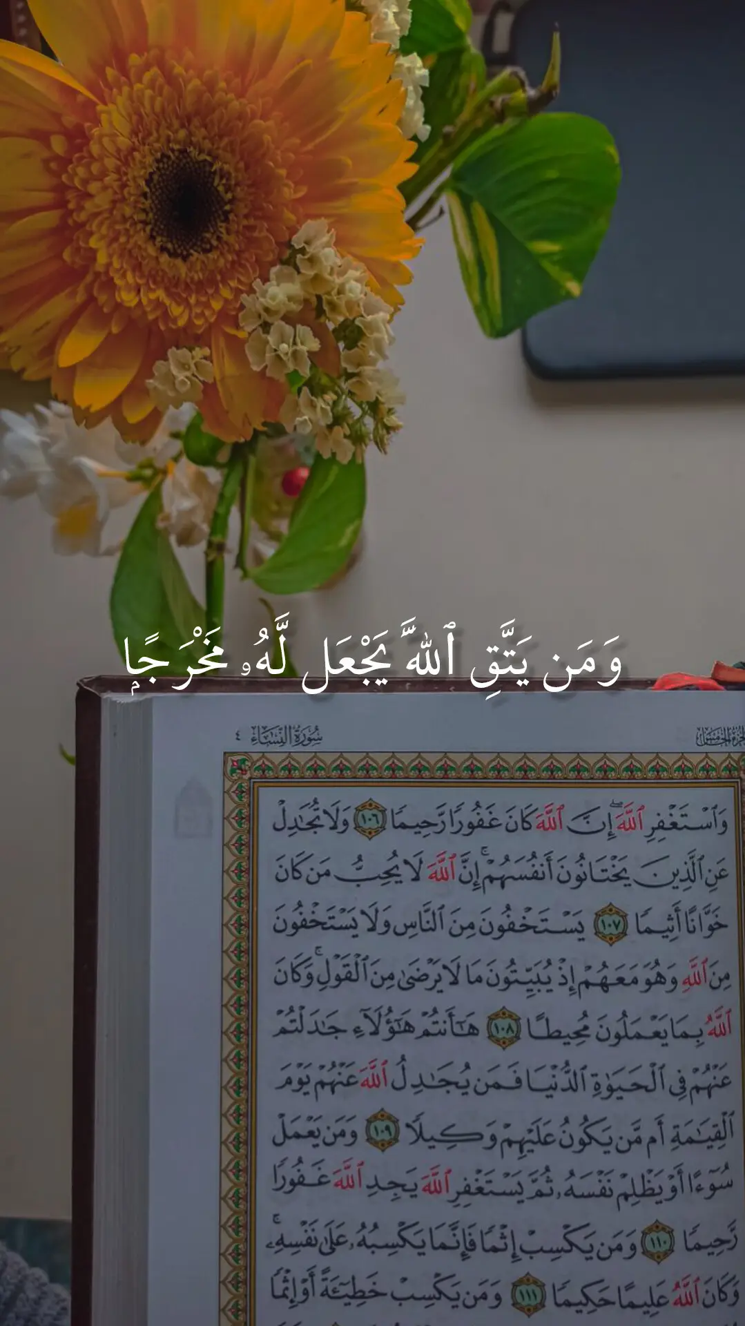 ## بهم ولاف منَا يُفَحُونَ بل معاف س ارحق طال عالية القرية الدم 500 ‏quran_alkarim#‏ القرآن_الكريم # #القرآن# #تلاوة_خاشعة 