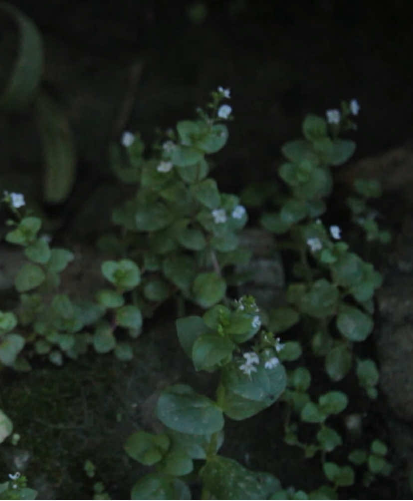 جربت اكتب عشان ليش لا