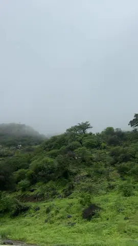 اليوم من زيارتنا لمحمية #حوف #محمية_حوف #المهره #اليمن 