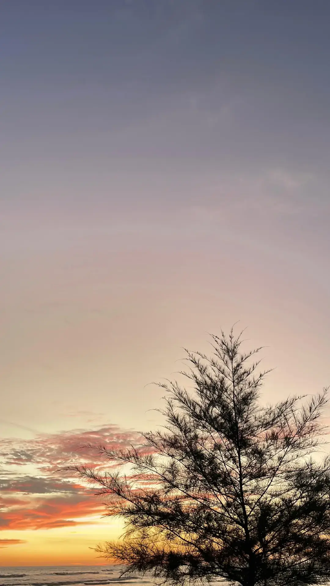 Aku kangen kamu. Sesederhana itu, tapi rasanya sulit dijelaskan. Bukan cuma kangen ingin ngobrol kayak biasanya, tapi kangen yang bikin dada sesak, yang bikin setiap sudut hari terasa kurang karena nggak ada kamu di dalamnya. Aku kangen ngobrol sama kamu, meskipun kadang kita nggak ngomongin hal penting. Aku kangen dengerin kamu cerita, kangen kamu ketawa di tengah obrolan kita. Aku kangen caramu marah-marah disaat aku ngeselin dan isengin kamu, caramu bercanda yang cuma aku yang paham. Aku kangen hal-hal sederhana yang dulu terasa biasa aja, tapi sekarang malah jadi hal yang paling aku cari. Hari-hari tetap berjalan, tapi jujur aja, ada yang hilang. Aku bisa ketawa, bisa sibuk, bisa terlihat baik-baik saja, tapi di sela-sela semuanya, ada bagian dari aku yang masih nyariin kamu. Aku nggak tahu apakah kamu juga ngerasain hal yang sama, tapi kalau iya -aku harap kamu tahu, aku masih di sini. Masih kangen kamu. #foryou #4u #xyzbca #fypシ 