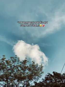 “শেষ বারের মতো দেখা দিও প্রাণ ভোরে দেখে নিবো..!!